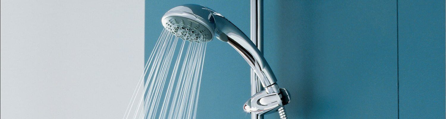 hand held shower head