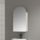 Ari 600mm Arch Shaving Cabinet Shaving Cabinet Arova 