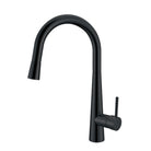 CURO Goose Neck Kitchen Mixer Tap pull out magnet head - WT4122BK Tapware ECT 