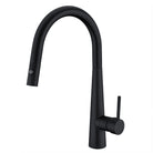 Dolce Pull Out Kitchen Mixer with Veggie Spray Matt Black Tapware Nero 