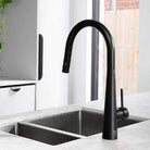 Dolce Pull Out Kitchen Mixer with Veggie Spray Matte Black Tapware Nero 